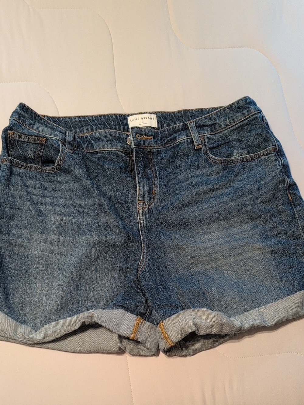 NWOT Lane Bryant Blue Denim Shorts with Brown Contrast Stitching